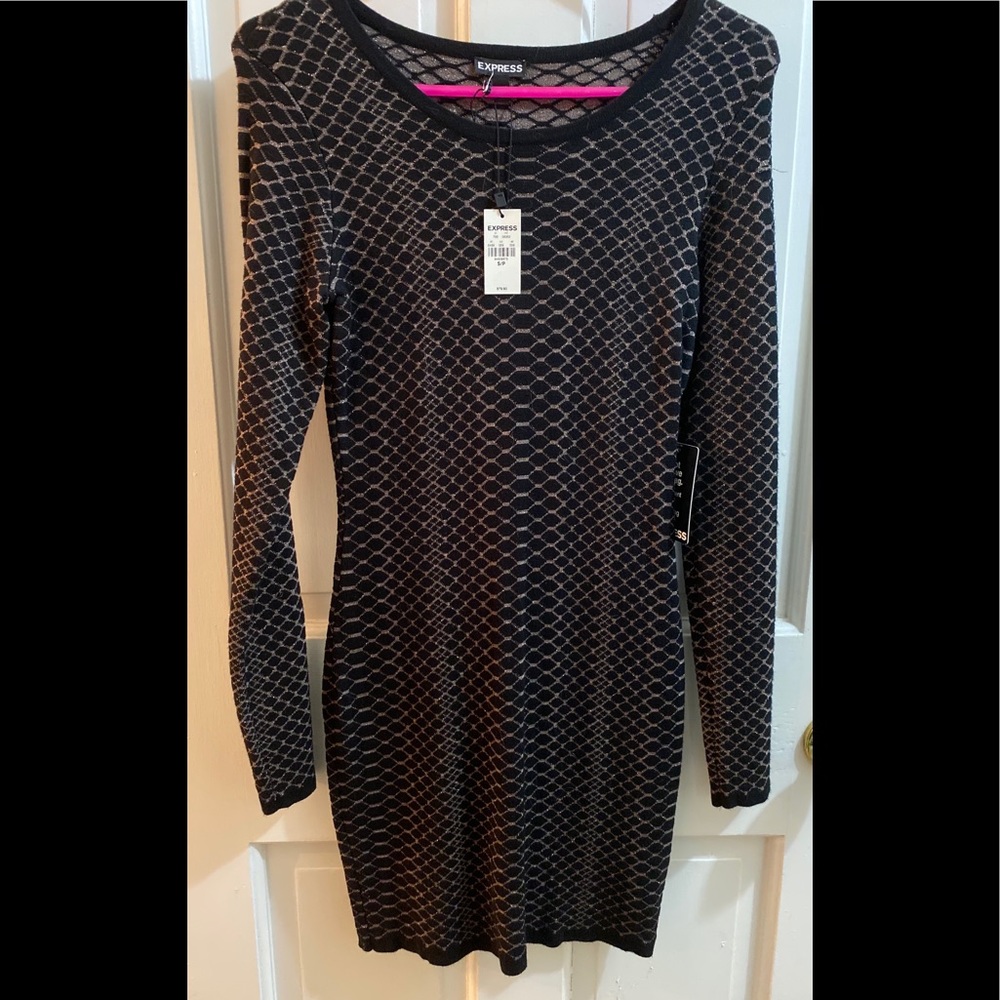 NWT Express long sleeve sweater dress